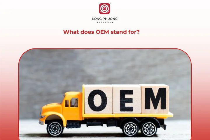 What does OEM stand for