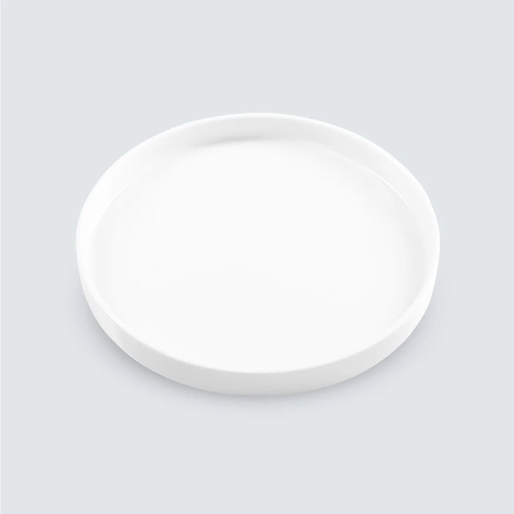 Shallow Round Plate with Rim by Long Phuong Porcelain